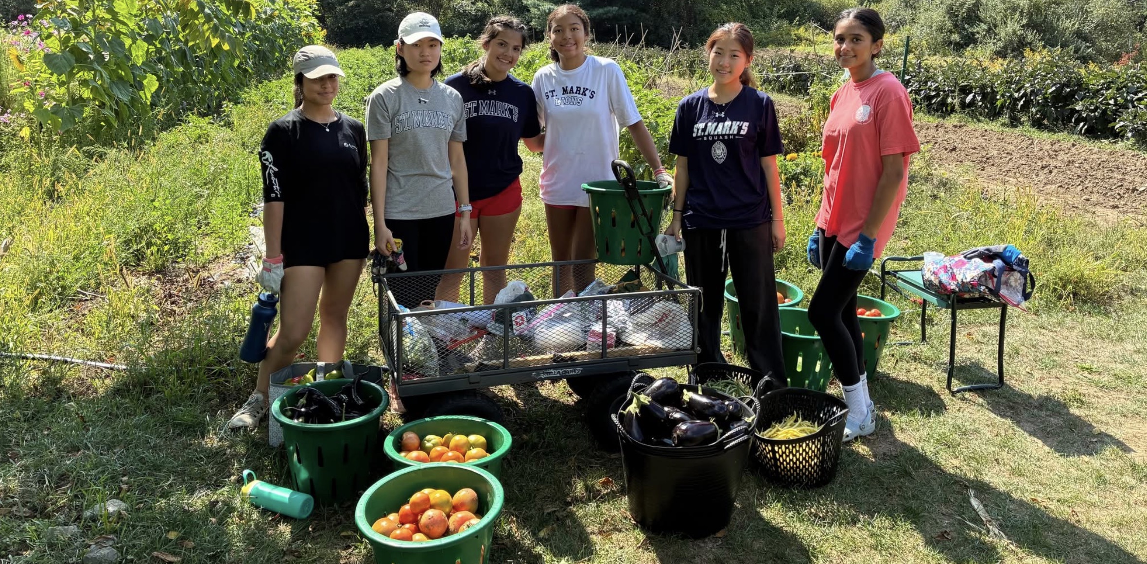 Volunteering – Pine Hill Meadow Garden